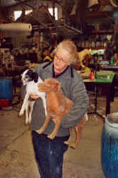 Rasmus og kopi fr farvning