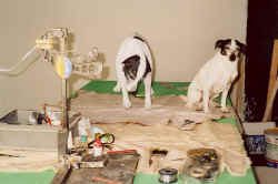 Rasmus og kopi fr optagelserne