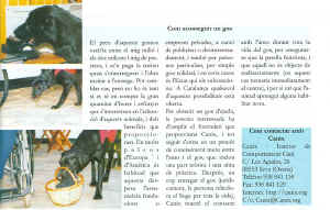 atipic_q1_2002_4.jpg (116779 bytes)